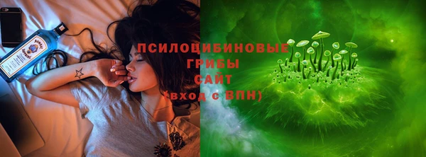 МДПВ Абаза