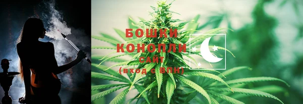 стаф Нея