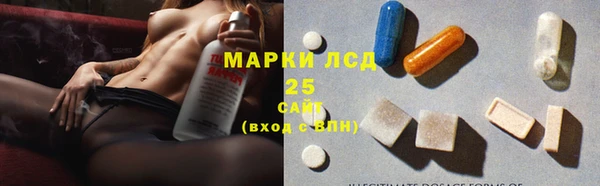 стаф Нея