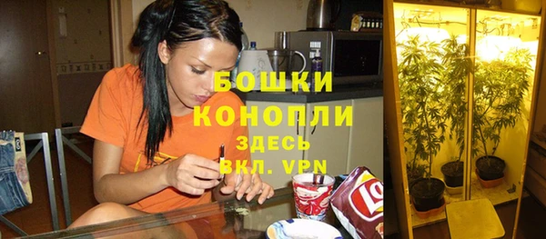 стаф Нея